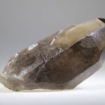Rookkwarts punt (self healer)