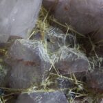 Rookkwarts met Rutiel