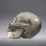 Rookkwarts Skull (schedel)