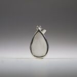 Scoleciet hanger
