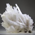 Scoleciet (heldere) met Stellar Beam Calcietjes