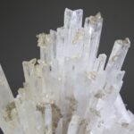 Scoleciet (heldere) met Stellar Beam Calcietjes