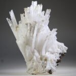 Scoleciet (heldere) met Stellar Beam Calcietjes