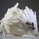 Scoleciet (heldere) met Stellar Beam Calcietjes