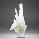 Scoleciet (heldere) met Stellar Beam Calcietjes