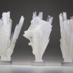 Scoleciet (heldere) met Stellar Beam Calcietjes