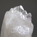Self healer(zelfhelend) Brazilië