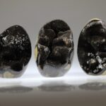 Septarie