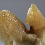 Stellar Beam Calciet met fantomen uit Marokko