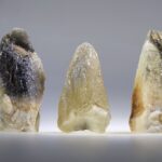 Stellar Beam Calciet met fantomen uit Marokko