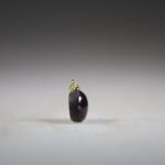 Sterrobijn Hanger (gold plated)