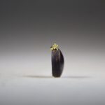 Sterrobijn Hanger (gold plated)