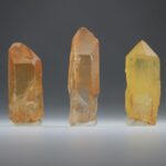 Tangerine Lemurian