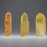 Tangerine Lemurian