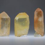 Tangerine Lemurian