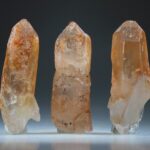 Tangerine Lemurian