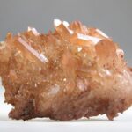 Tangerine Lemurian