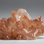 Tangerine Lemurian