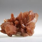 Tangerine Lemurian