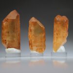 Tangerine Lemurian