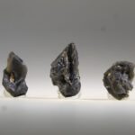 Tektiet uit Darwin (Darwiniet of Darwin Glas)