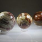 Versteend Hout