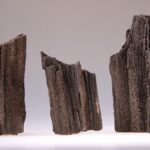Versteend hout van de Mammoetboom of Reuzen Sequoia met kwartskristalletjes