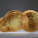 Woestijn Bariet bloem (Stromatoliet)