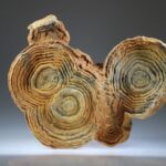 Woestijn Bariet bloem (Stromatoliet)